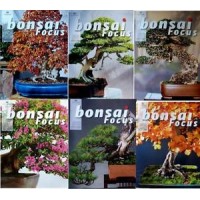 Revista Bonsai Focus