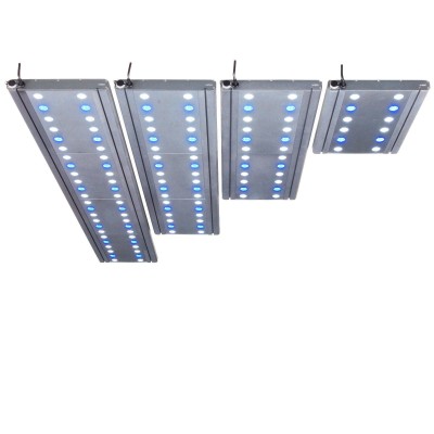 Ocean Light Led | Twin 2